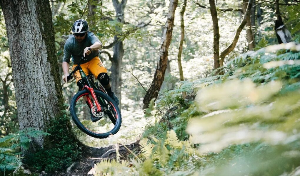 What Are the Best Brands for Budget Mountain Bikes in India 2024?