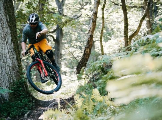 What Are the Best Brands for Budget Mountain Bikes in India 2024?